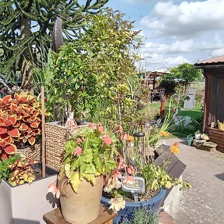 Auszeit-schoenenwalde Apartamento